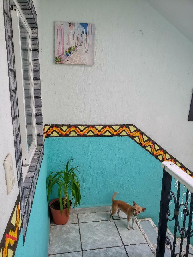 Posada Paso Del Sol Isla Mujeres Exteriör bild